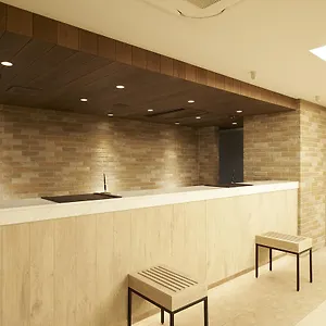 *** Hotel Sotetsu Fresa Ginza Sanchome Japan
